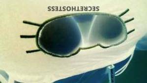 isabel 30Yrs Old Escort Sioux City IA Image - 1