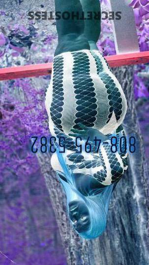 Sammie 26Yrs Old Escort Frederick MD Image - 0