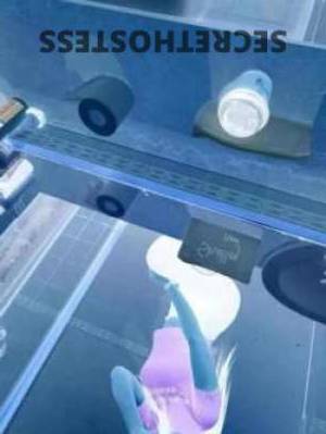 21 year old Taiwanese Escort in Ashgrove Brisbane is itself a new notice