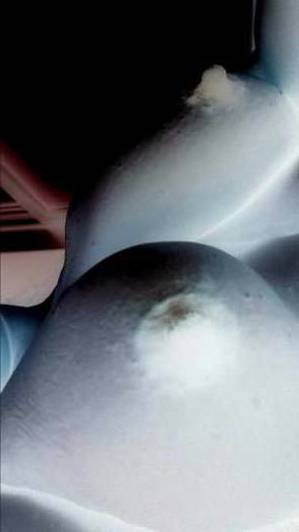 23 year old Latino Escort in Louisville KY Experience Euphoria Savor the Curvy Latina of Your Dreams 
