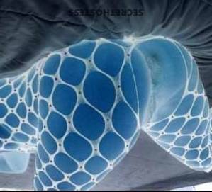 27Yrs Old Escort Miami FL Image - 2