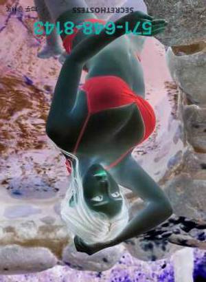 28Yrs Old Escort Northern Virginia Image - 3