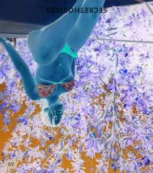 35Yrs Old Escort Fayetteville NC Image - 4