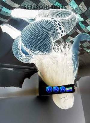 38Yrs Old Escort Treasure Coast FL Image - 2