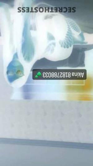 23 year old Japanese Escort in San Fernando Valley CA Petite Freak 4'9 120 lbs QV 160 HHR GREEK SPECIALS last