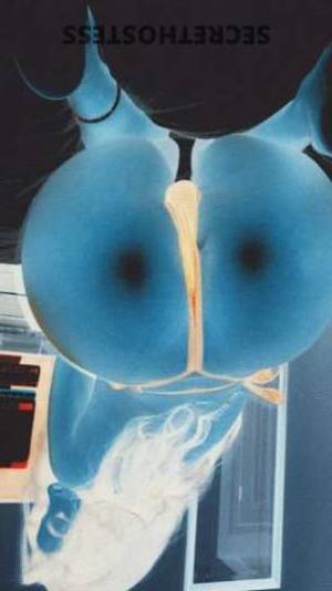 Berlin 21Yrs Old Escort Tampa FL Image - 4