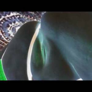 Betty 30Yrs Old Escort Los Angeles CA Image - 7