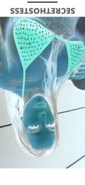 26 year old Brazilian Escort in Inland Empire CA Bridget Brazilian Persian playmate for ultimate pleasure, MN