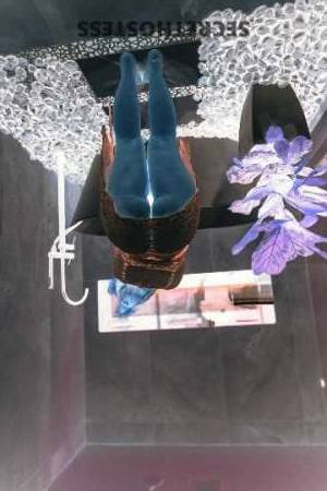 19 year old Escort in College Station TX Experience the Blissful Pleasures of a Classy Snowbunny Doxy