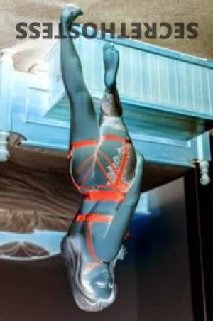 Attention, Handsome! Euphoria, Blond Aussie Natural, Touring in Albury