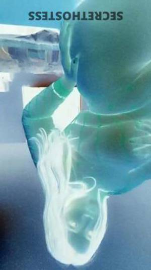 Kate 27Yrs Old Escort South Bend IN Image - 6