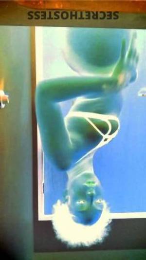 Malaysia 23Yrs Old Escort Tampa FL Image - 1