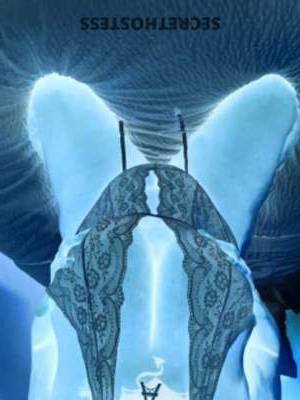 28 year old French Escort in Columbia SC Paris Bodyy, BBW Pornstar, Back in Town, Garners Ferry, 