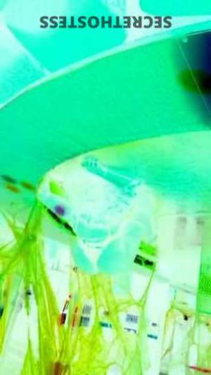 Selia 27Yrs Old Escort Montreal Image - 7