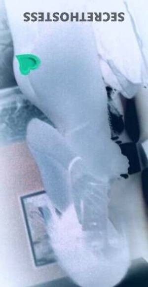 Stacey 27Yrs Old Escort Manhattan NY Image - 3