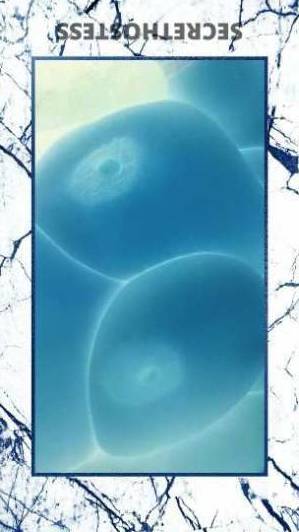 Suggarbaby 45Yrs Old Escort Austin TX Image - 6