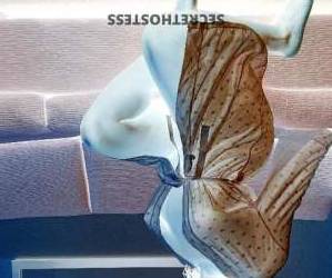 Tatianna 30Yrs Old Escort Worcester MA Image - 9