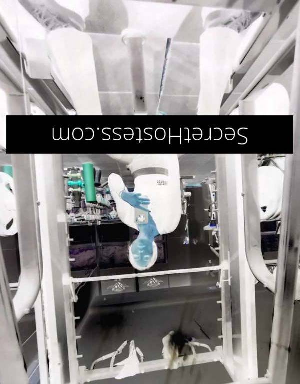 25Yrs Old Escort Size 6 Perth Image - 2