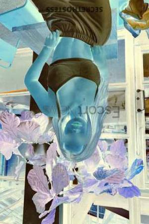 21Yrs Old Escort 54KG 168CM Tall Berlin Image - 4