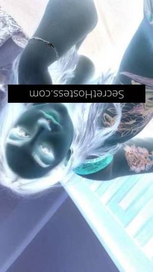 23 year old Australian Escort in Gilles Plains Adelaide Unleash Your Sensual Desires Meet [], The Australian Babe 