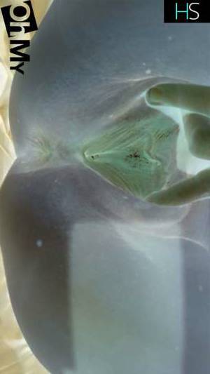 29Yrs Old Escort 157CM Tall Winnipeg Image - 2
