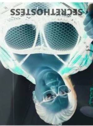 30 year old Escort in Geelong Horny Evie salivating for action - BDSM, strap-on, squirting