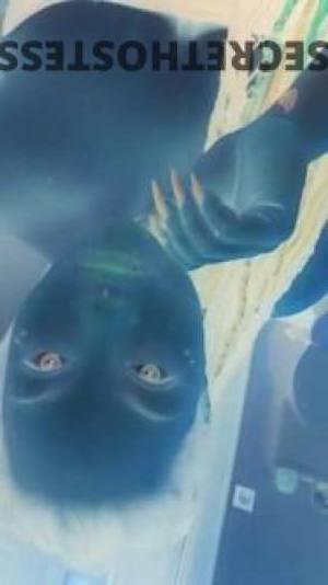 34Yrs Old Escort Sunshine Coast Image - 1