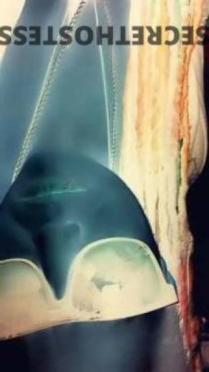 34Yrs Old Escort Sunshine Coast Image - 2