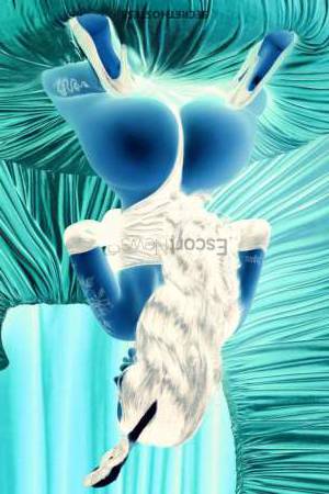 22 year old European Escort in Dubai Experience Passion and Indulgence with Amalia, Your VIP 
