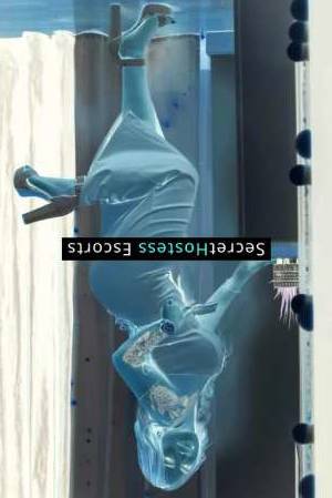 Annais 27Yrs Old Escort 61KG 166CM Tall Santa Cruz de Tenerife Image - 8