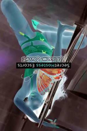 30 year old German Escort in Frankfurt am Main Briar