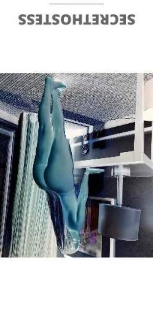 25 year old Latino Escort in Boston MA Spicy Latina Sara Mendes Your Dream Playmate Awaits