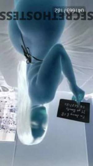 Jenny 24Yrs Old Escort Brisbane Image - 2
