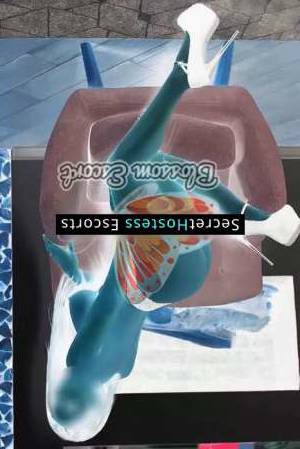 31 year old German Escort in Frankfurt am Main Kairi