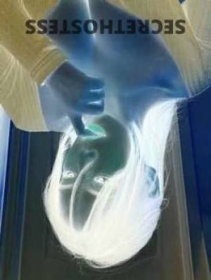 Mina 21Yrs Old Escort Melbourne Image - 3