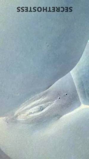 Mocha 27Yrs Old Escort Brooklyn NY Image - 2