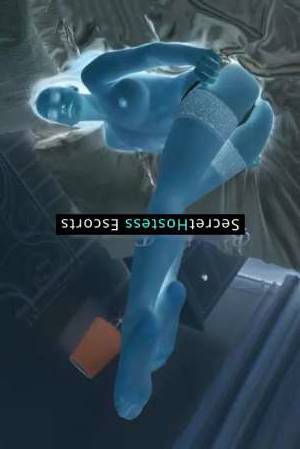 26 year old German Escort in Frankfurt am Main Sara