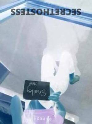 21 year old Asian Escort in Bowen Hills Brisbane Shelley Sensual Asian Beauty for Ultimate Pleasure in Bowen 