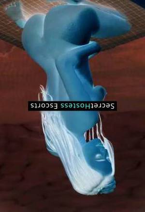 22 year old German Escort in Frankfurt am Main Sofie