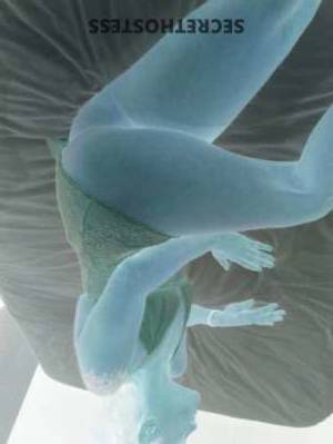 StacyFoxx 33Yrs Old Escort Raleigh NC Image - 4