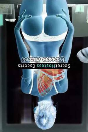 28 year old German Escort in Frankfurt am Main Stevie