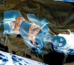 19Yrs Old Escort Santa Catarina Image - 1