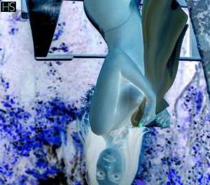 19Yrs Old Escort Santa Catarina Image - 4