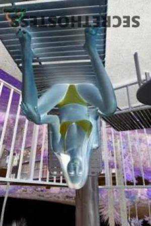 23 year old Japanese Escort in Rivervale Perth newly arrived Japanese goddess in Perth for escort services