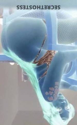 25Yrs Old Escort Savannah GA Image - 4