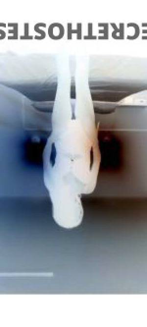 26 year old Australian Escort in Aeroglen Cairns Unleash Your Fantasies with the Australian Babe You've 