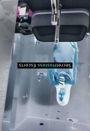 24 year old Ukrainian Escort in Split Aleksa