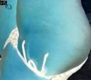 Beyoncee 24Yrs Old Escort Middlesbrough Image - 1