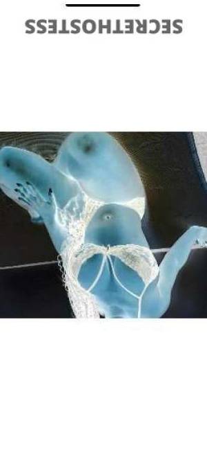 28 year old Escort in Bradenton FL USA Sex Guide Bunny Hopping to the Next level of Fun