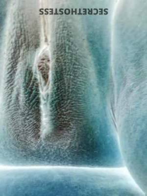 Candy 33Yrs Old Escort South Bend IN Image - 2